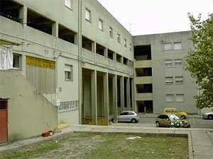lameirinhas.jpg